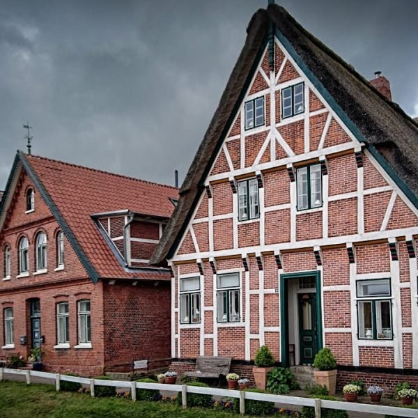 Wat te Doen als je Rieten Dak Schade Oploopt?